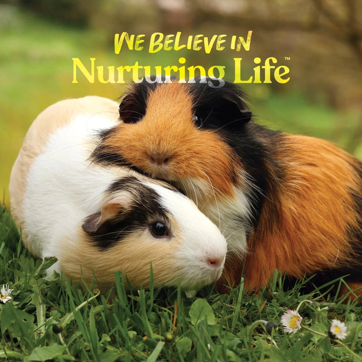 Small World Guinea Pig Complete Feed 9 lbs.