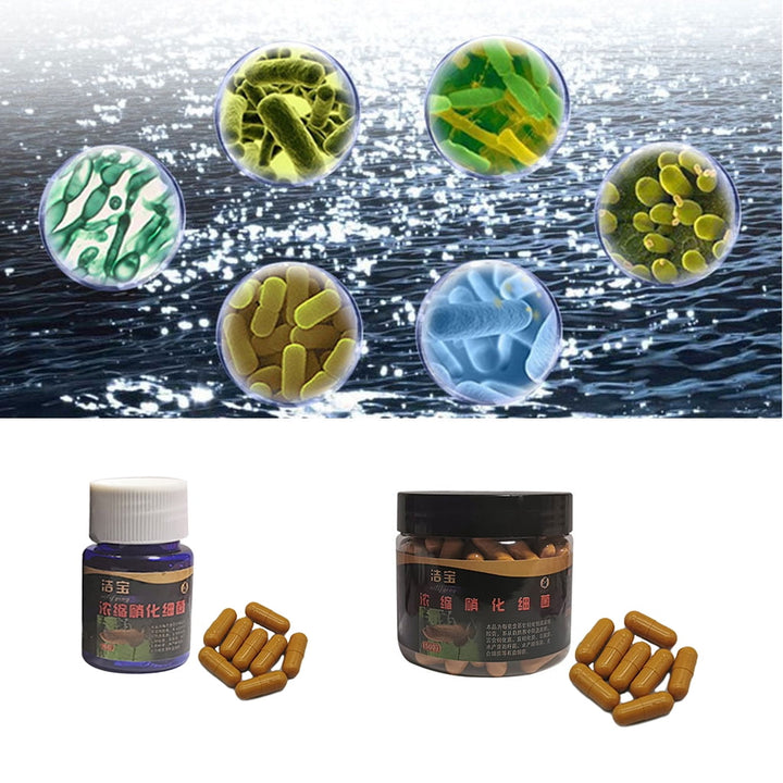 WINDLAND Aquarium Nitrifying Bacteria Super Concentrated Capsule Fish for Tank Pond Cleaning Water Purifier Supplies
