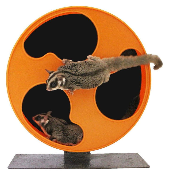 YfulYde Silent Runner 12" Regular Wheel + Autoclean Track + Sandy Track + Cage Attachment - Pet Exercise Wheel Package Set - for Sugar Gliders, Female Rats, Hamsters, Mice, Small Pets