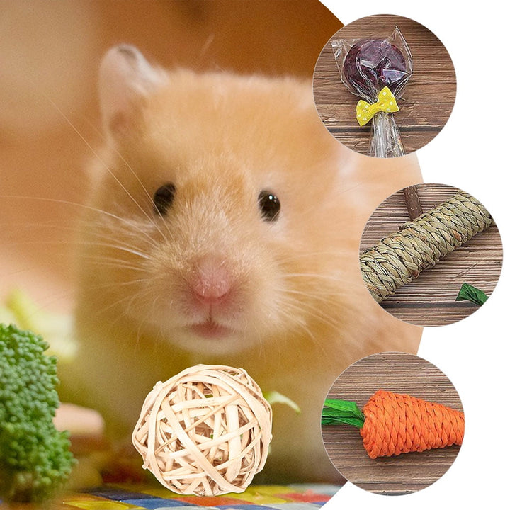 Sold 12Pcs Rabbit Chew Toys Cage Accessories Small Animals Chewing Toys for Bunny Chinchilla