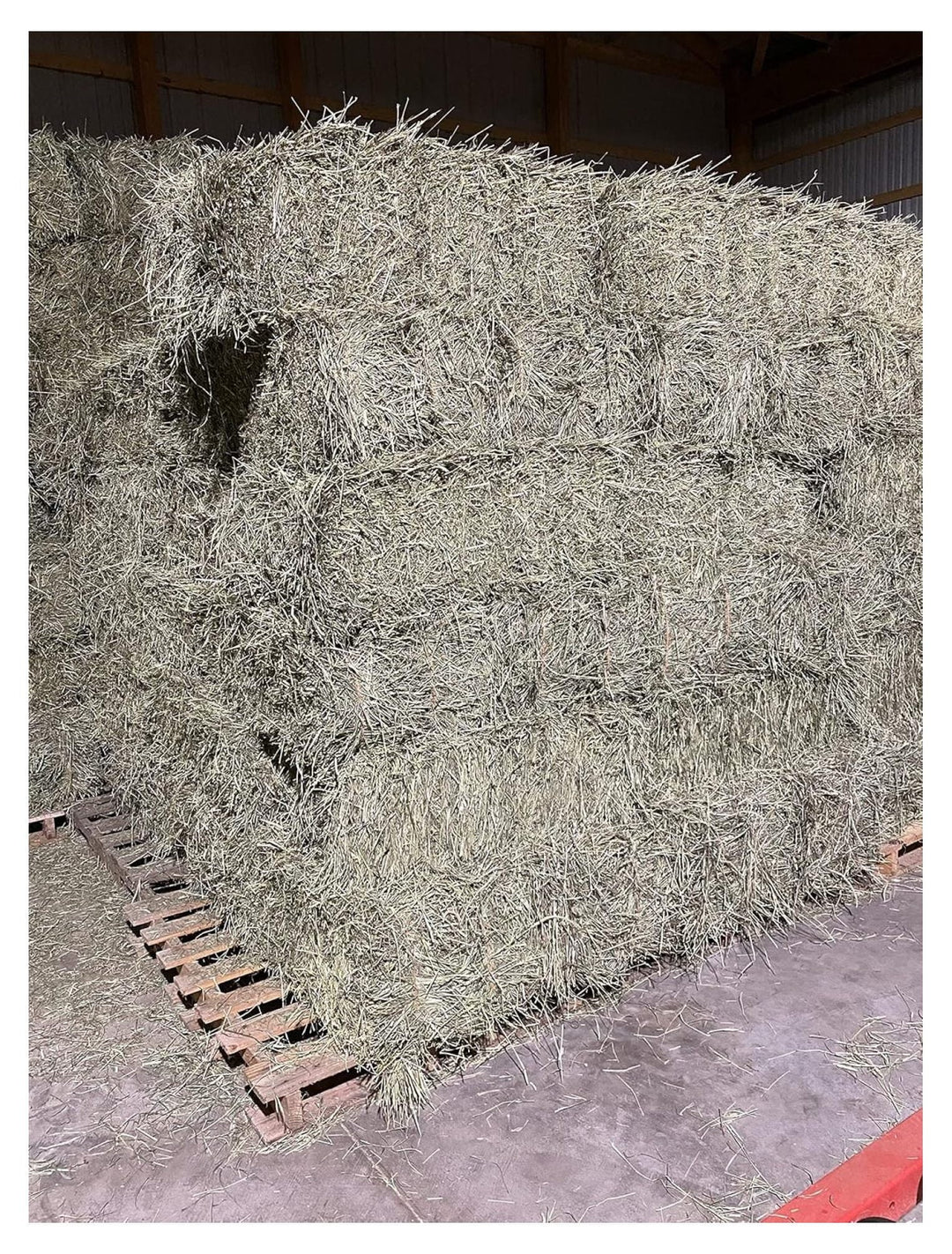 YfulYde Timothy Hay Rabbits, Guinea Pigs, Chinchilla Food (10+ lb.)