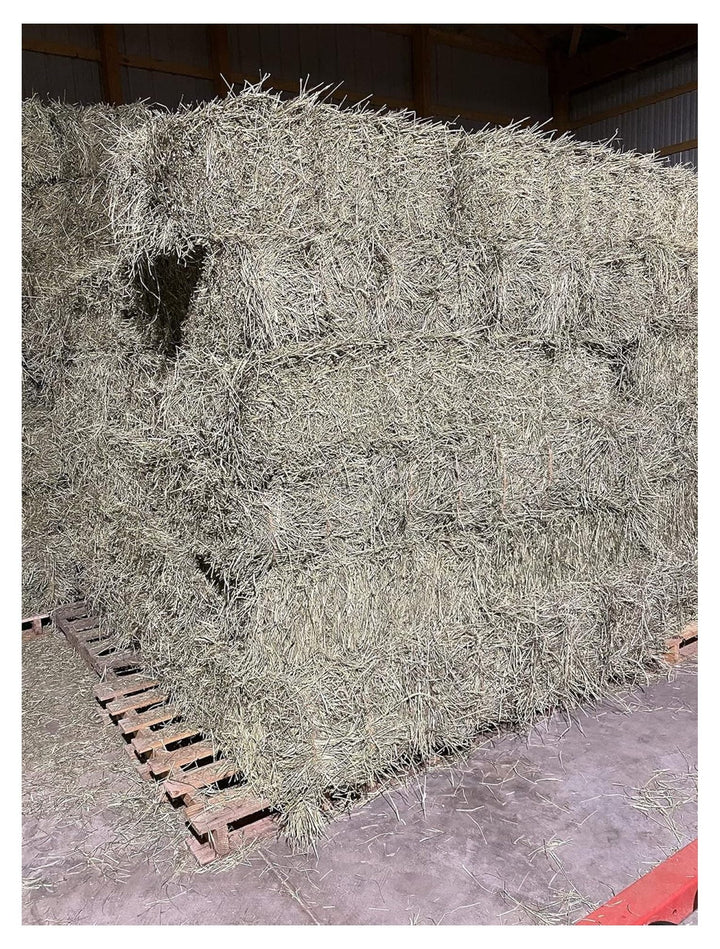 YfulYde Timothy Hay Rabbits, Guinea Pigs, Chinchilla Food (10+ lb.)