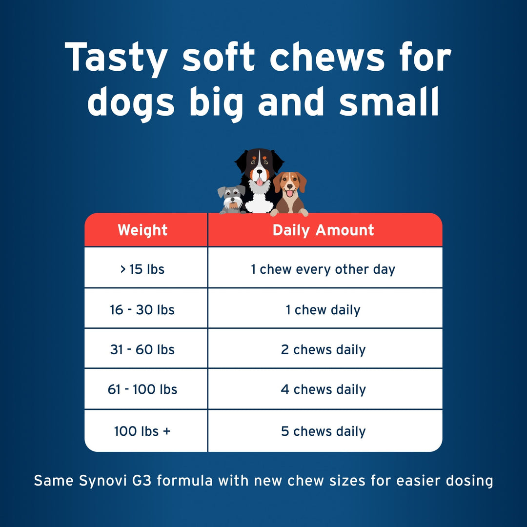 Pet Protect Vet-Formulated Hip & Joint Supplement for Dogs, 60 Chews for Joint Care