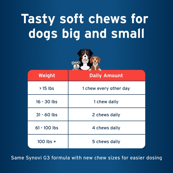 Pet Protect Vet-Formulated Hip & Joint Supplement for Dogs, 60 Chews for Joint Care