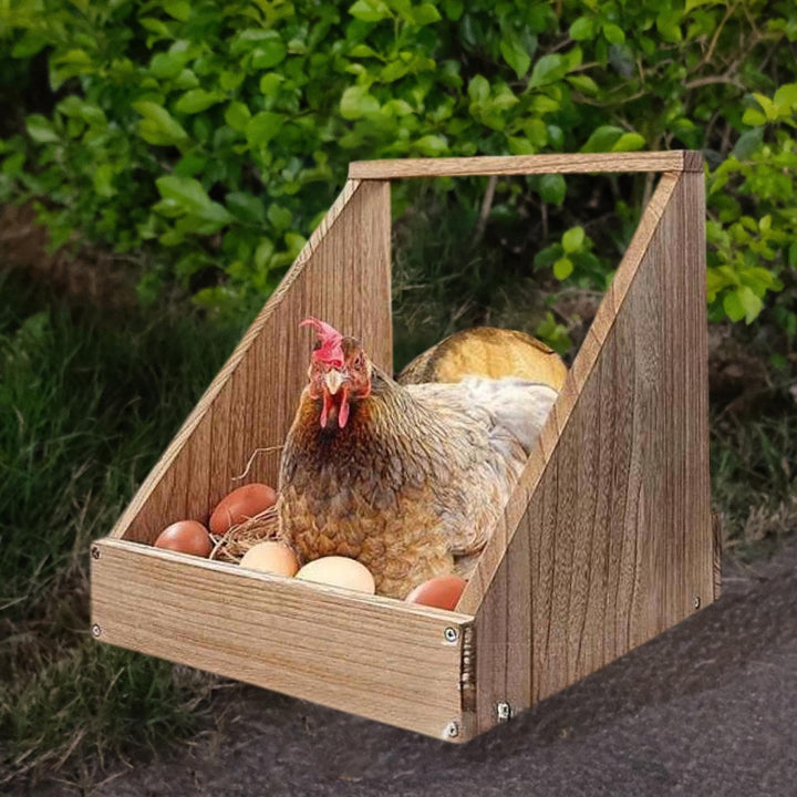 balikha Chicken - Chicken , Mandatory Laying of , Wooden Chicken Coop Accessories for