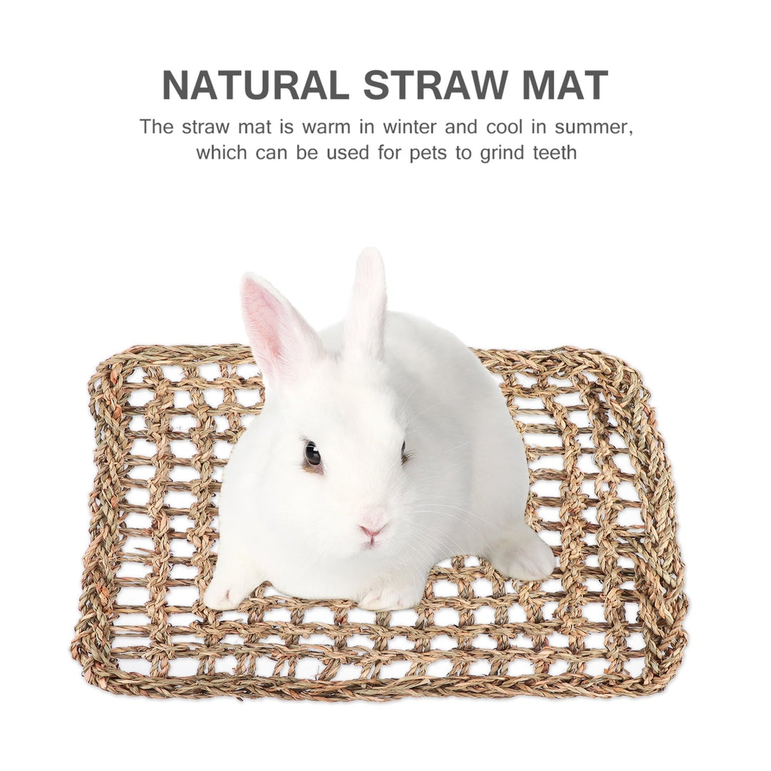 Gratier 2pcs Grass Mat Woven Bed Mat Rabbit Bunny Bedding Chew Toy Bed Play Toy