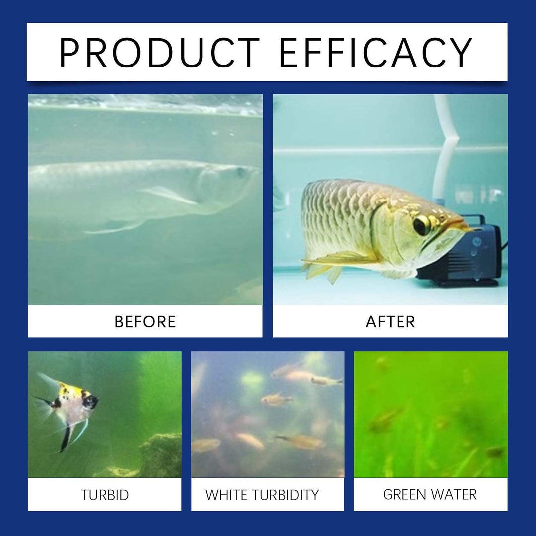 Aquarium Fish Tank Water Purifier | Clear Water Quality Enhancer | Rapid Pollutant Remover | Balances pH | Safe for Fish & Plants | Easy Use | 100ml Bottle | Fish Products