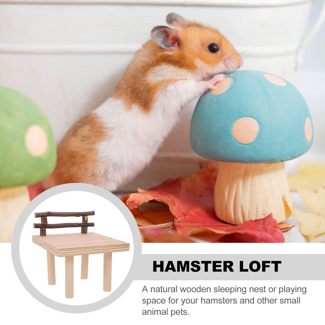 jojofuny Pet Playing Platform Wooden Toy Assorted Color 1Set 5.89X5.89X3.54Inch