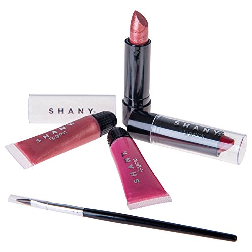 SHANY Carry All Trunk Makeup Train Case with Re-usable Aluminum Beauty Storage Organizer Case. Make up Set with Eye palettes, Blushes,Face Powders, Manicure, Pedicure and Cosmetics Brushes.