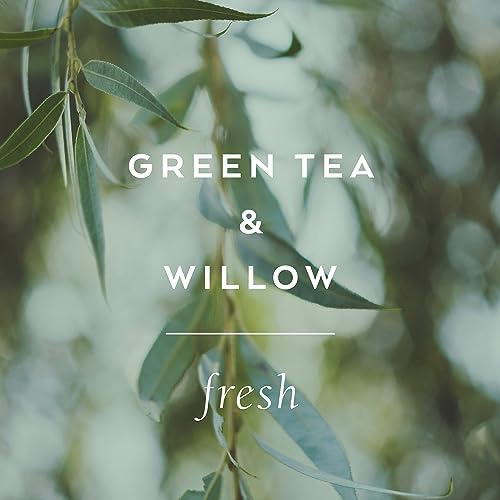 Archive Journey Within Bubble Bath for Adults, 33.8 fl. oz. – Green Tea & Willow Fragrance – Blend of Natural Oils, Refine Bath Bubbles for Women or Men, Adult Bubble Bath