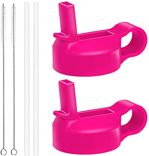 The Mass Wide Mouth Straw Lid Compatibility Most Sports Water Bottle (Flamingo)