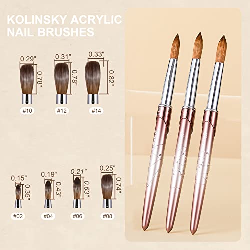 Acrylic Nail Brush Size 12,KEMEISI 100% Pure Kolinsky Nail Art Brushes Sturdy Handle Oval Shaped Acrylic Powder Nail Design Tools for Professional Manicure DIY Home Salon (Brown Gradient)
