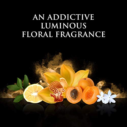 Beyonce Rise Eau de Parfums, 1 Fluid Ounce