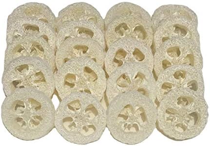 2cm Natural Loofah Cuts Loofah Slices for Soap Making or Soap Dish Pack of 20