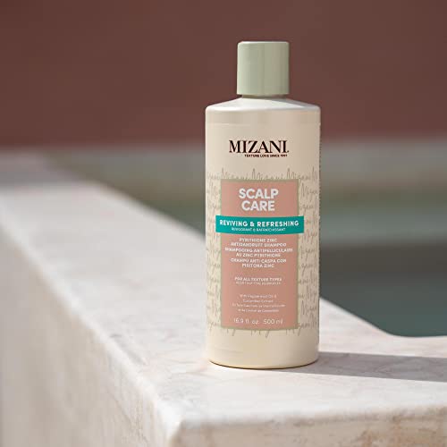 MIZANI Scalp Care Dandruff Shampoo - Cleanses Hair & Scalp, For Curly Hair