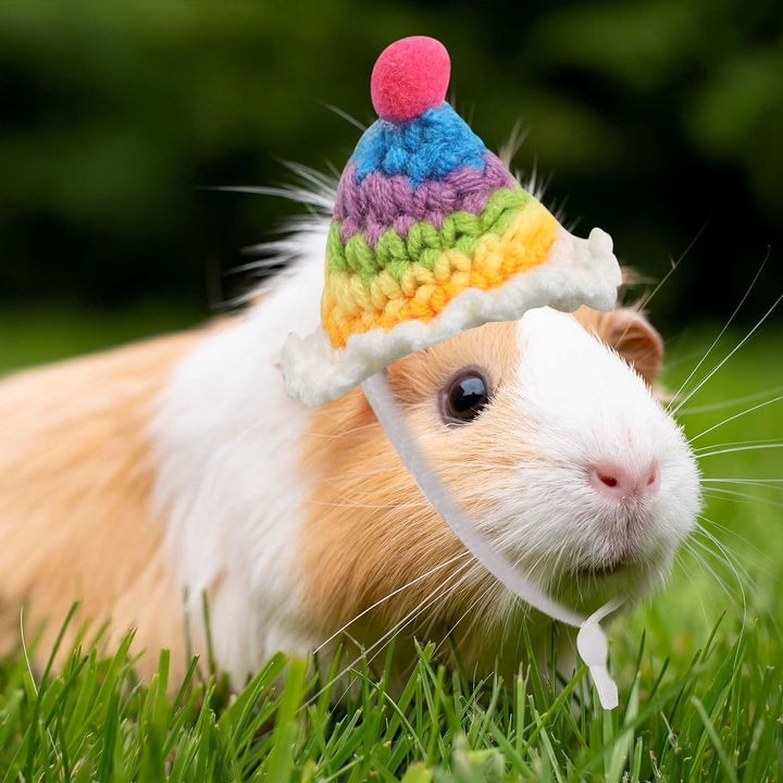 4Pcs Mini Hand Knitted Hats with Adjustable Strap, Small Animals Cute Hat Mini Hamster Hats for Guinea Pig Pets Holiday Party Costume Accessories