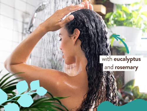 Babo Botanicals Eucalyptus Remedy Shampoo & Wash - Invigorating Eucalyptus & Rosemary Essential Oils -For all Ages - EWG Verified - Vegan - Cruelty Free