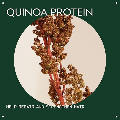 Aveda Damage Remedy Restructuring Shampoo for Damaged Hair | Repairs and Strengthens Damaged Hair | with Quinoa Protein, 8.5 Fl Oz