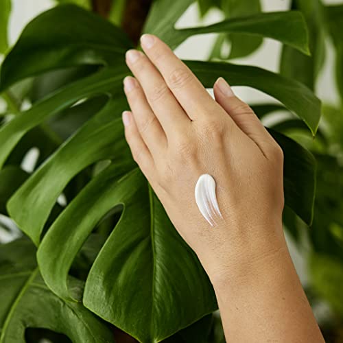 Weleda Regenerating Pomegranate Hand Cream, 1.7 Ounce