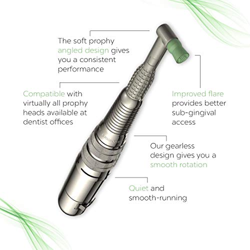 Bilistic Pro Series Dental Tooth Polisher | Professional Dental Teeth Cleaning & Bleaching Modern Electric Toothbrush Corded | Removes Buildup and Freshens Breath