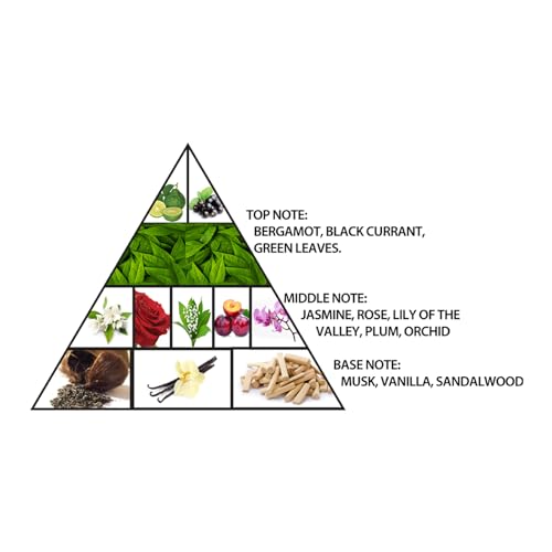 Al Haramain L'Aventure Gold - Arabian Perfume for Women - Floral Woody Eau de Parfum Fragrances - Long Lasting Arabic Perfume for Women - 6.76 oz