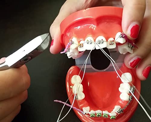 BELEON Braces Wire Orthodontic Dental Ligature Wire for Braces for Home Use Stainless Steel 40g 0.25mm