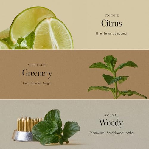 Lime Sunday Refresh Shampoo with Vitamin C, Korean Jeju Tangerine, Mint & Almond Powder for Oily Scalp Care – Exfoliating, Deep Cleansing, Lime Citrus Scent, Silicone & Paraben-Free (15.22 fl.oz)