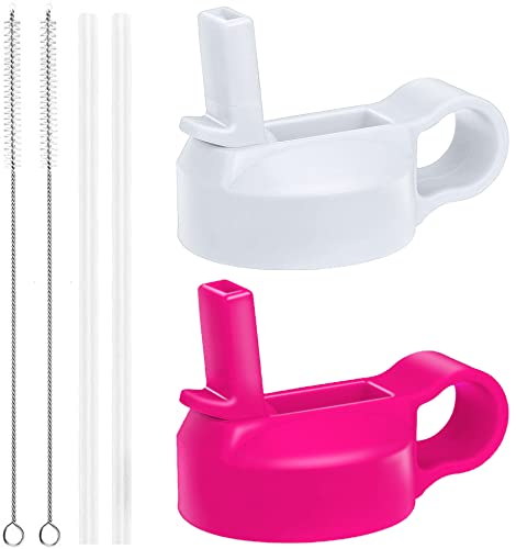 The Mass Wide Mouth Straw Lid Compatibility Most Sports Water Bottle (White & Flamingo)