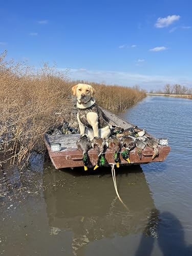 ALPS OutdoorZ Topflight Dog Vest, Dog Hunting Vest with 5mm Neoprene for Warmth, Contoured Neck Design, Buoyancy Flotation Pads, Easy Lift Handles, and Leash Clip, Large - Realtree MAX-7
