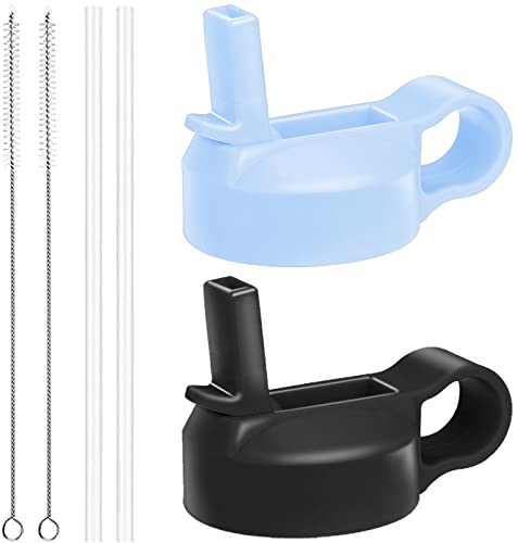 The Mass Wide Mouth Straw Lid Compatibility Most Sports Water Bottle (Black & Frost)