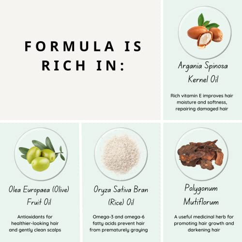 BLACK Hair Dye Shampoo 400ml- 100% Grey Coverage in Minutes- Ammonia Free Hair Color Shampoo Cover Gray Silver Hair- Instant Darkening Coloring At Home- Gift for Mom Dad