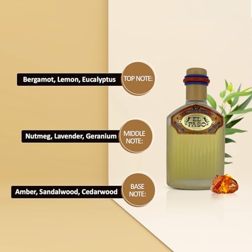 Lomani El Paso Eau de Toilette Spray for Men, 3.3 Ounce