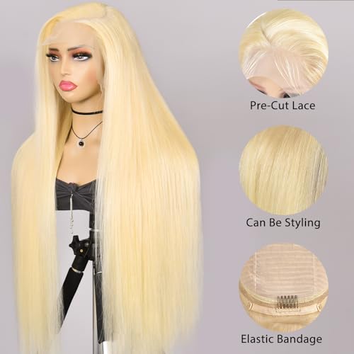 Alididi 30Inch 613 13x6 Lace Front Wig Human Hair 200 Density 613 Lace Front Wig Human Hair Blonde Wig Human Hair Straight Lace Frontal Wig Human Hair Pre Plucked With Baby Hair (613 Blonde Wig)