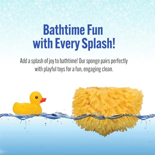 Baby Buddy Natural Grass Sea Sponge, Newborn Bath Time Essential, Textured for Exfoliation, Hypoallergenic, 1 Count