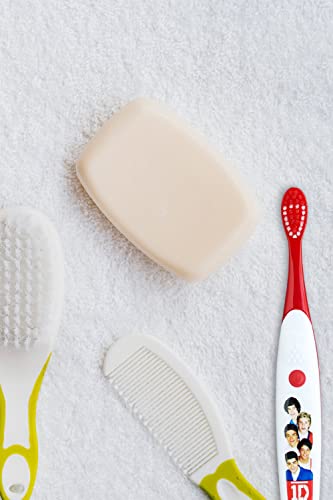 B. Designs One Direction Singing Tooth Brush (Live While we’re Young)/Limited Edition