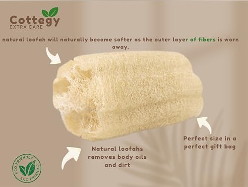Egyptian Loofah Exfoliating Scrubber - Natural Loofah Exfoliating Body Scrubber - 1 Count (Pack of 2) | Eco-Friendly Bath & Shower Sponge for Face & Body | 100% Natural, Ideal for Men & Women
