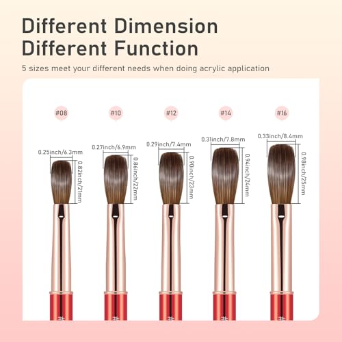 Acrylic Nail Brush Size 10, 100% Real Kolinsky Nail Brush for Acrylic Powder Application, Handmade Women Manicure Nail Extension Tool for Professional DIY Home Salon and Beginner
