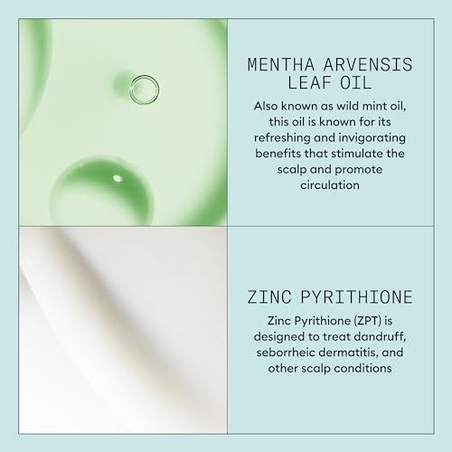 Nioxin Scalp Recovery Purifying Shampoo | For Itchy, Flaky Scalp | Anti-Dandruff | Formulated with Pyrithione Zinc