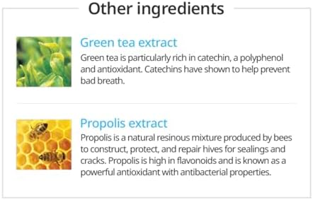 Atomy Toothpaste Natural Oral Care with Propolis & Green Tea Extract 5 x 200g