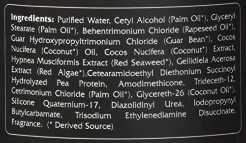 RENPURE Coconut Whipped Creme Leave-In Conditioner, Basic, Fragrance, 16 Fl Oz