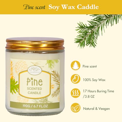 Birthday Gifts for Women, Bath Gift Baskets for Women, Get Well Soon Gifts, Pine Scented Relaxing Spa Care Package w/Bubble Bath, Bath Salt Spa Essential, Christmas, Valentine'S Day, Mothers Day