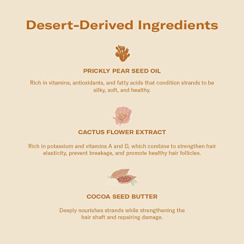 DAE Monsoon Moisture Mask - Intense Hydration, Leaves Hair Glossy & Smooth, Strengthens Elasticity, Helps Prevent Damage (8 oz)