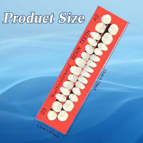 BBTO 6 Sets Acrylic Resin Fake Teeth artificial teeth Denture Replacement tooth prop Synthetic Resin Denture for Replacement, 112 Pieces, 23 A2