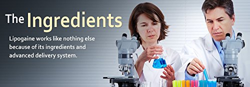 Big 5 Hair Stimulating Shampoo for Hair Thinning & Breakage, for All Hair Types, Men and Women, Infused With Biotin, Caffeine, Argan Oil, Castor oil and Saw Palmetto (Purple)