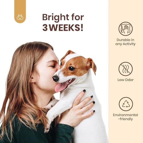 Beetles Gel Nail Polish with Blooming Gel - 5 Colors Gel Polish White Wine Brown Color Nail Polish Set Amber Attraction 1pcs Clear Blooming Polish Soak Off Uv Nail Art Gfit Set for Women