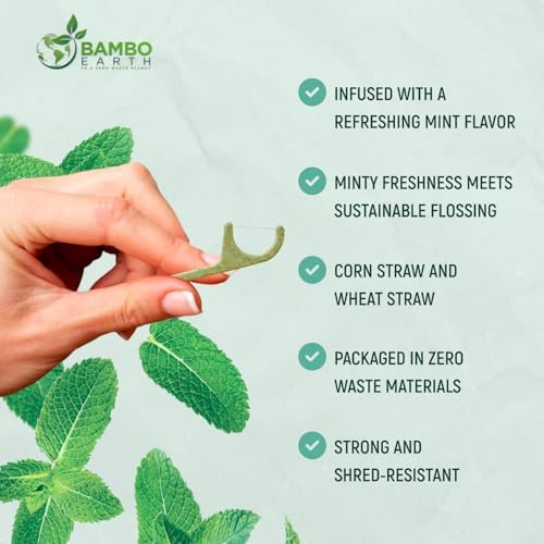 Natural Dental Floss Picks - Eco Friendly Cruelty Free & Vegan Tooth Flossers Pick Set with BPA Free Handle & Zero Waste Packaging - 200 Pack (Mint Flavored)