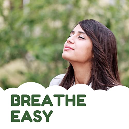 Breathe Easy Aromatherapy Shower Bombs (5PK XTRA STRENGTH) – Menthol, Peppermint, Rosemary Essential Oils – Ease Sinus, Colds, Cough, Congestion – Spa Christmas Gift (Add Shower Bomb Bag)