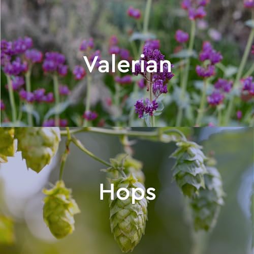 Kneipp Dream Away Valerian & Hops Bath Oil - Good for Unwinding Before Bed - Vegan - 3.4 fl oz - Up to 10 Baths