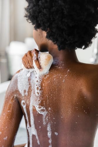 Bathorium Konjac Walnut Shell Body Sponge, Gently Cleanses Skin, Ideal for Daily Use, Made with Hand-Harvested Asian Konjac Root, Softens & Revitalizes, 1 Sponge
