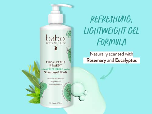 Babo Botanicals Eucalyptus Remedy Shampoo & Wash - Invigorating Eucalyptus & Rosemary Essential Oils -For all Ages - EWG Verified - Vegan - Cruelty Free